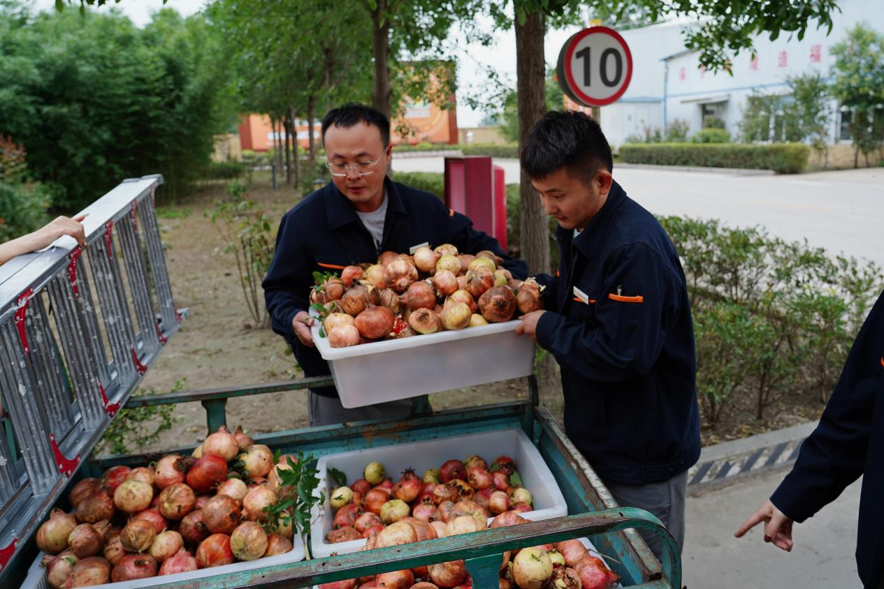 好博(中国)体育智能科技股份有限公司网站